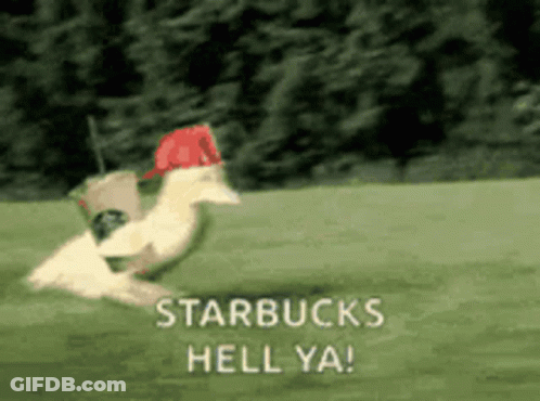 Duck Running On Green Field With Starbucks Hell Ya GIF