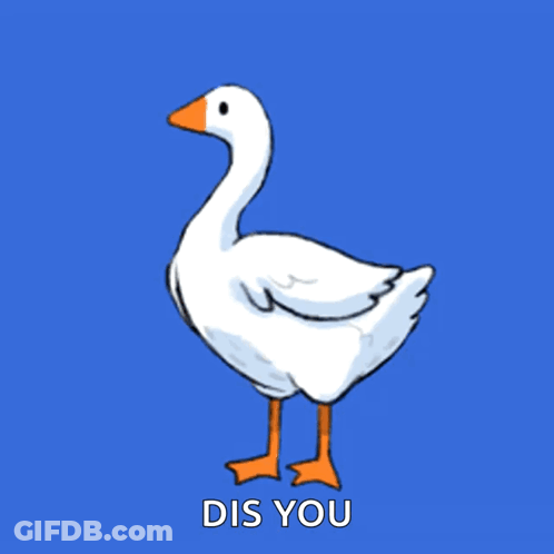 Duck Saying Dis You GIF