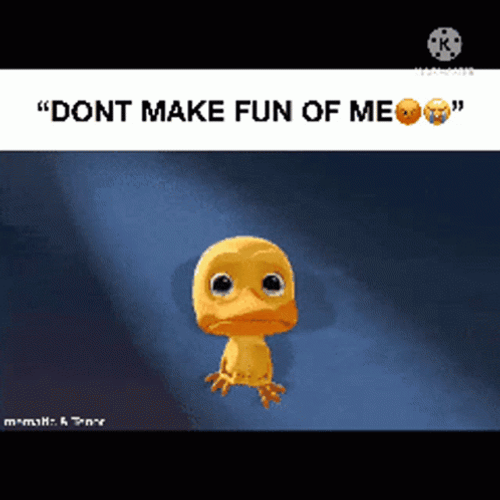 Duck Saying Don't Make Fun Of Me GIF