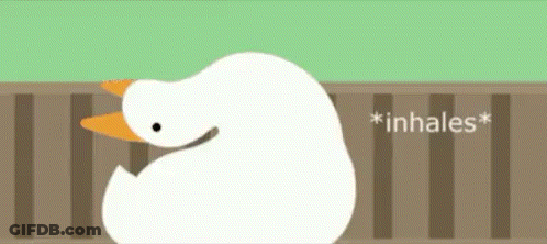 Duck Saying Inhales GIF