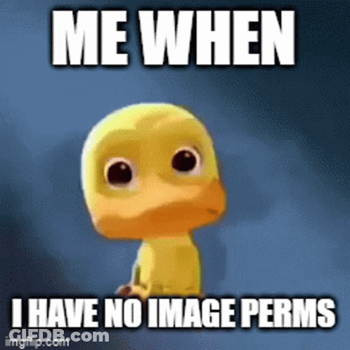 Duck Saying Me When No Image Permits GIF