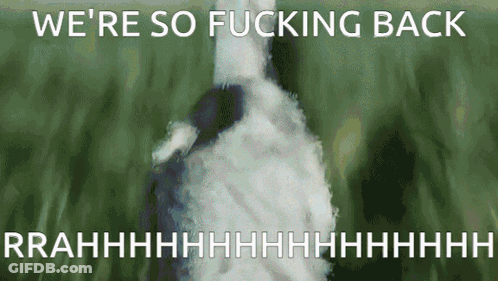 Duck Saying We're So Fucking Back GIF