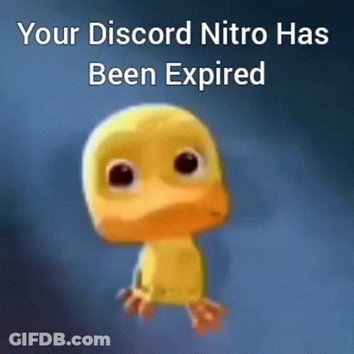 Duck Saying Your Discord Nitro Has Been Expired GIF