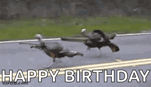 Duck Season Sign Next To Tree GIF