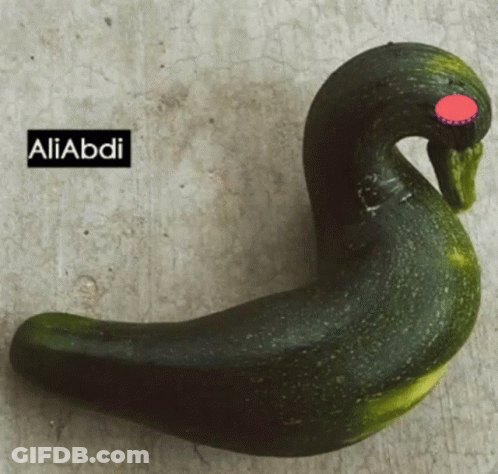 Duck Shaped Zucchini Aliabdi GIF
