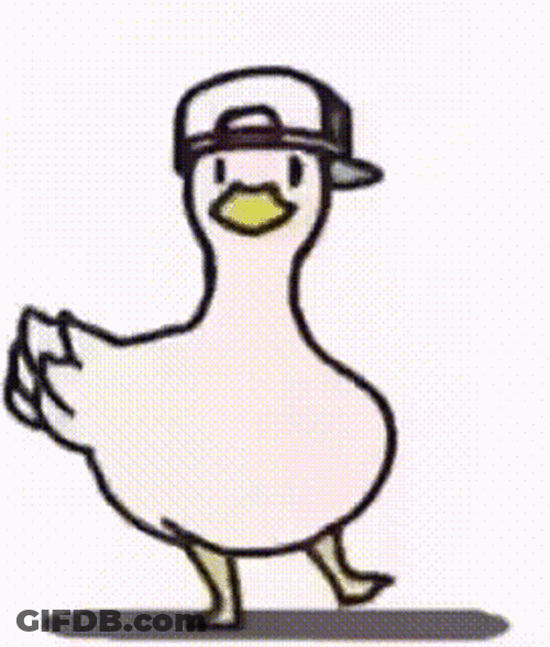 Duck Spinning GIF