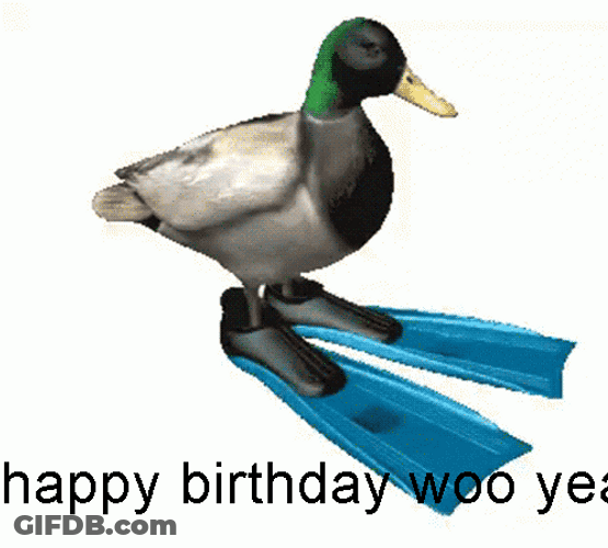 Duck Spinning Happy Birthday GIF