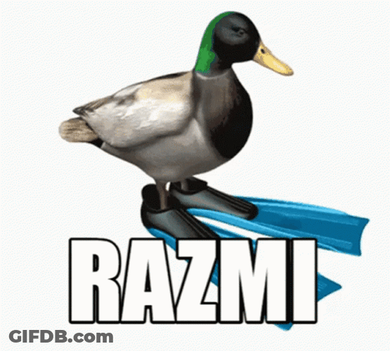 Duck Spinning Meme GIF