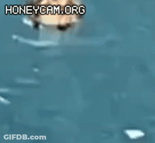 Duck Spinning Round And Round GIF