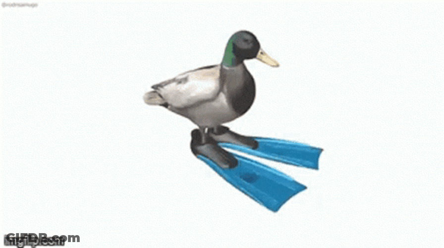 Duck Spinning GIF