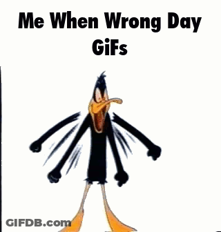 Duck Standing With Me When Wrong Day Gifs GIF