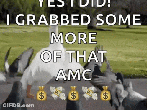 Duck Surrounded By Pigeons With Bags Of Money GIF