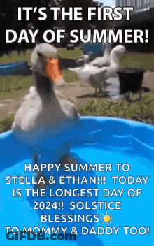 Duck Swimming In Water With First Day Of Summer GIF