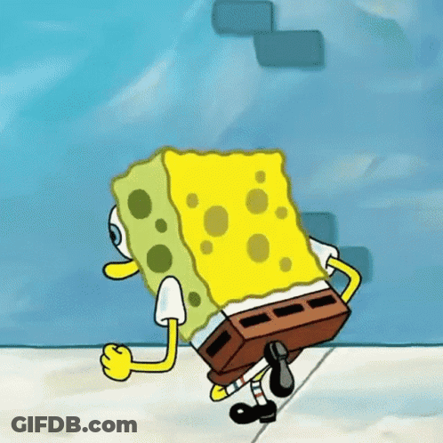 Duck Wearing Cone Holding Chicago Sky Banner GIF