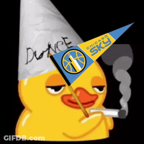 Duck Wearing Cone Holding Chicago Sky Banner GIF