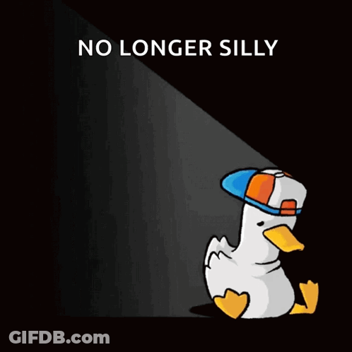 Duck Wearing Hat No Longer Silly GIF