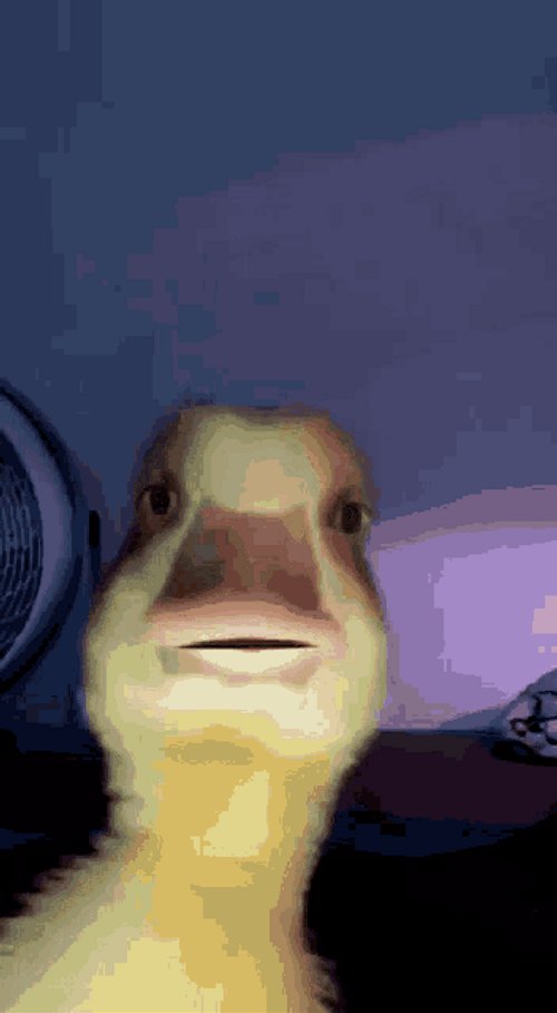 Duck With Creepy Smile GIF