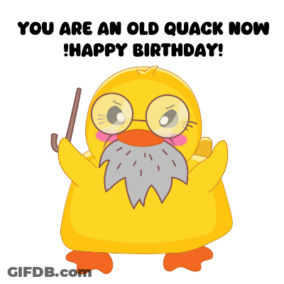 Duck With Glasses And Beard Saying You're An Old Quack Happy Birthday GIF