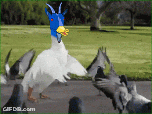 Duck With Goat Head Surrounded By Pigeons GIF
