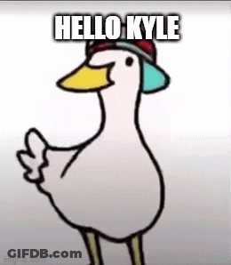 Duck With Hat Thumbs Up GIF