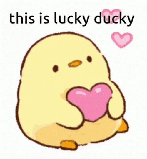 Duck With Heart This Is Lucky Ducky GIF