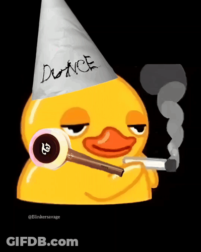Duck With Party Hat Saying Dunce GIF