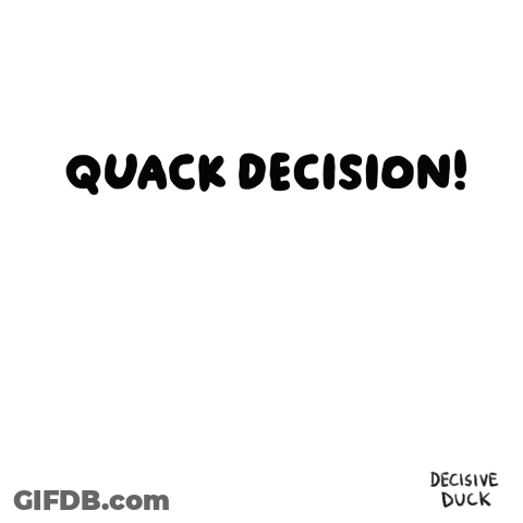Duck With Quack Decision GIF