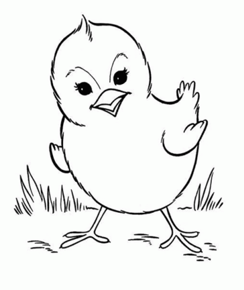 Duckling Ready For Coloring GIF