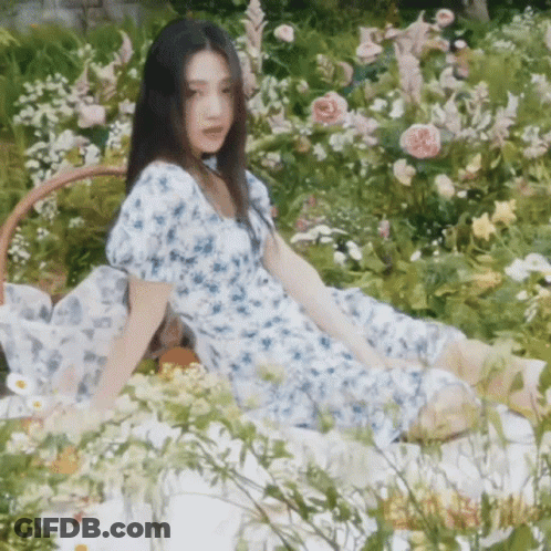 Ducklings In Field Of Flowers GIF