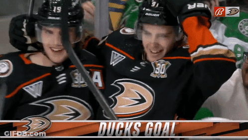 Ducks Hockey Players Celebrate Goal GIF
