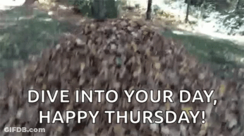 Ducks In Leaves Dive Into Your Day Happy Thursday GIF