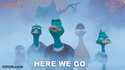 Ducks Standing In Water Here We Go GIF