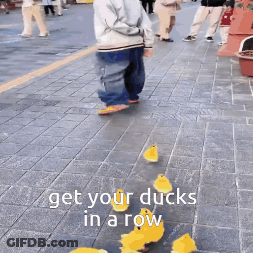 Ducks Walking In A Row Get Your Ducks In A Row GIF