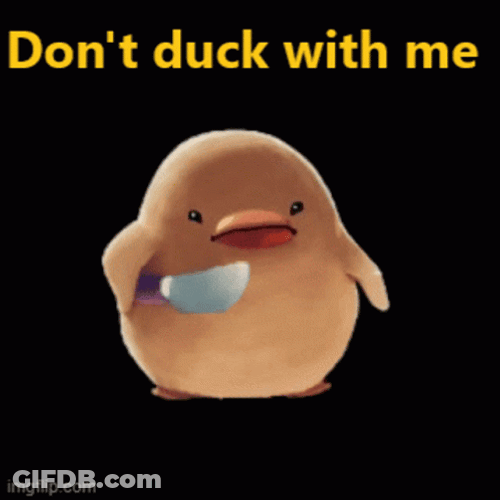 Ducky Don't Duck With Me GIF