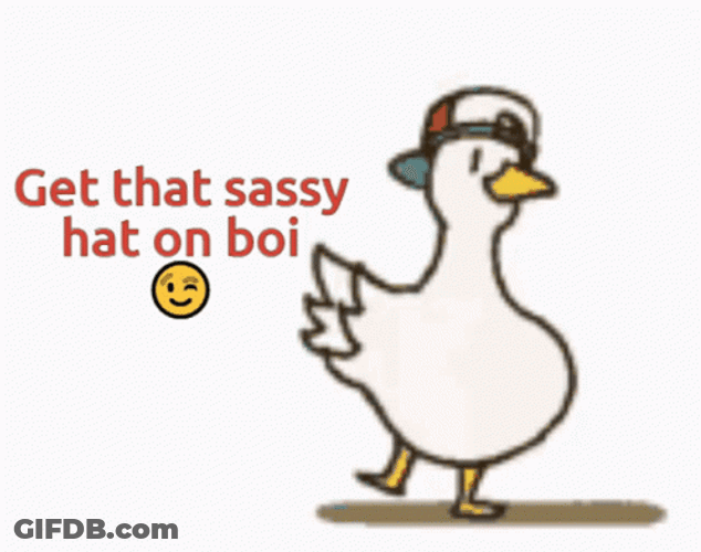 Ducky Get That Sassy Hat On Boi GIF