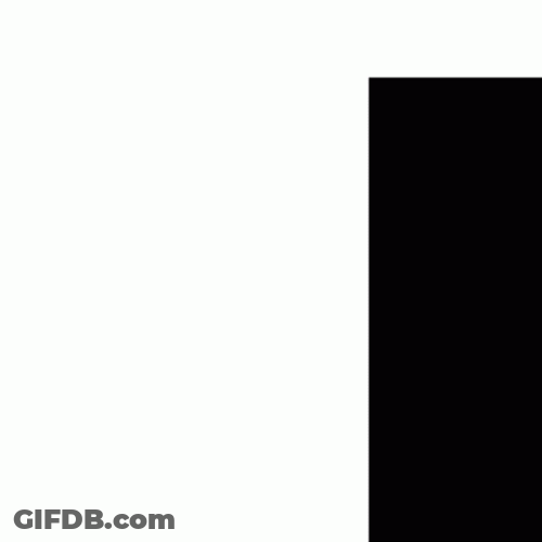 Ducky Hi Sneaking In GIF