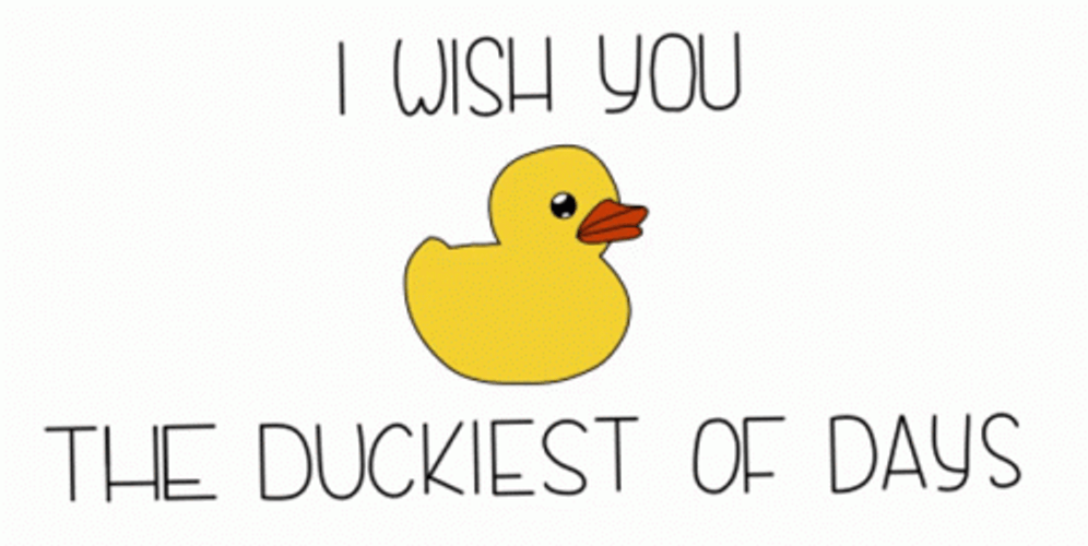 Ducky I Wish You The Duckiest Of Days GIF
