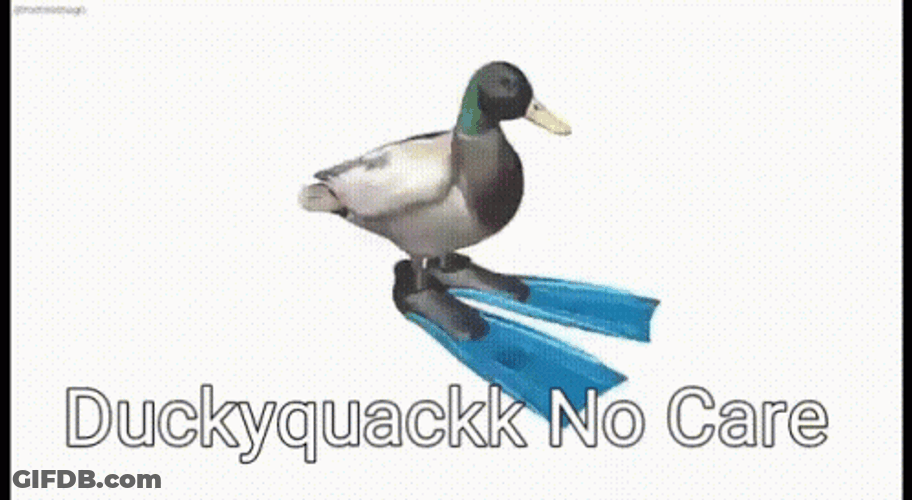 Ducky Quack No Care Spin GIF