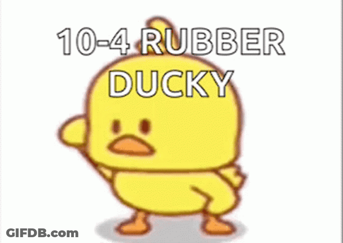 Ducky Rubber Looking Sight Seeing GIF
