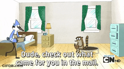 Dude Check Mail GIF