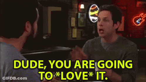 Dude You Are Going To Love It - It's Always Sunny In Philadelphia GIF