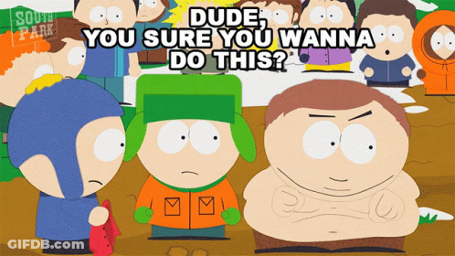 Dude You Sure You Wanna Do This Cartoon GIF