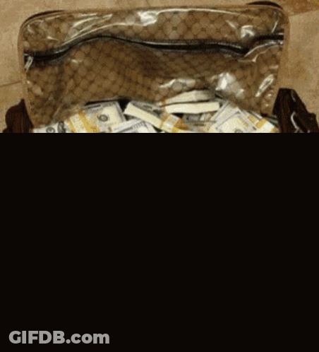 Duffel Bag With Hundred Dollar Bills GIF