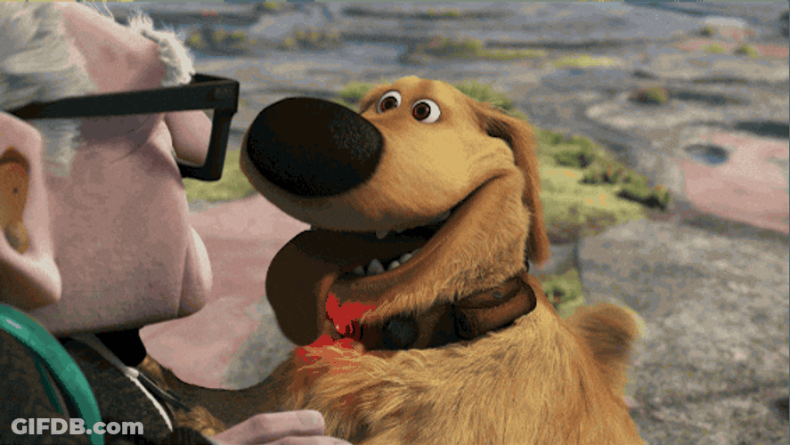 Dug Smiles Playful At Carl Fredricksen GIF