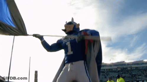 Duke Mascot Number 1 Is Holding A Flag In A Stadium GIF