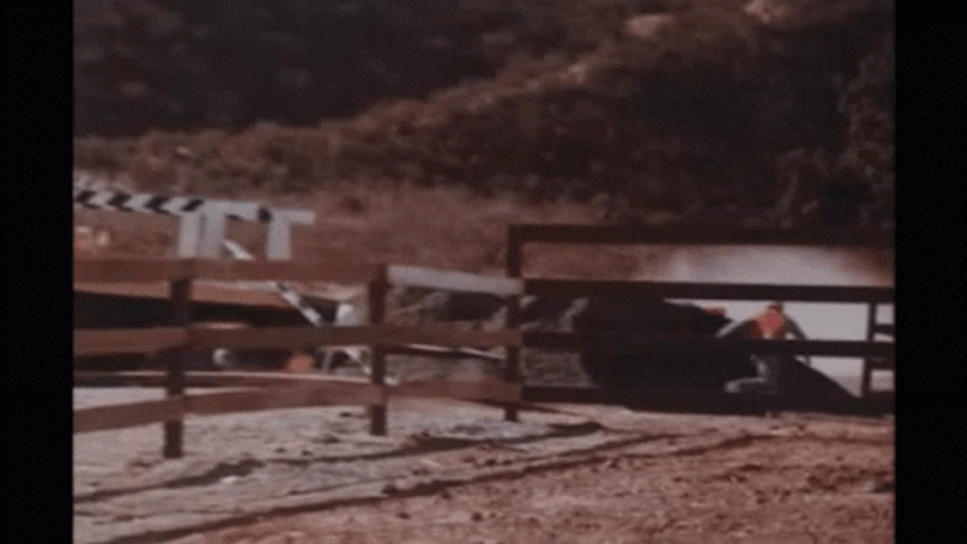 Dukes Of Hazzard General Lee And Luke GIF