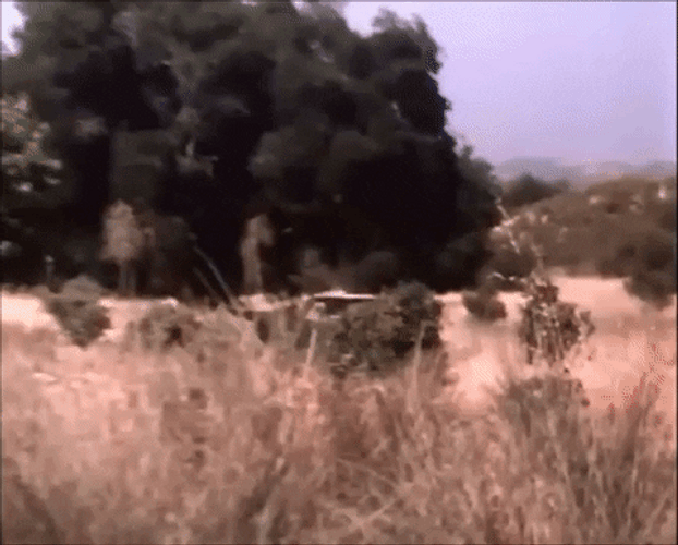 Dukes Of Hazzard General Lee Car Barn Jump GIF