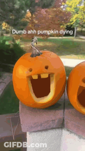 Dumb Ahh Pumpkin Dying Is Written On The Bottom Of A Picture Of Two Pumpkins GIF