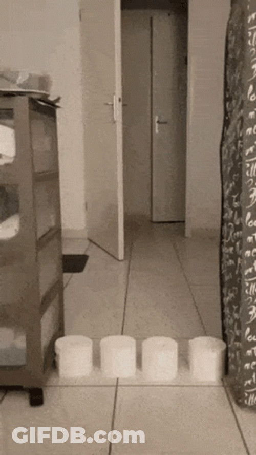 Dumb And Dumber Bathroom Jumping Cat GIF