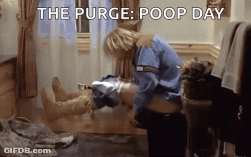 Dumb And Dumber Bathroom Poop Day GIF